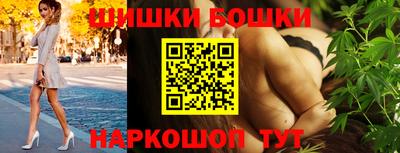 МДПВ Канаш