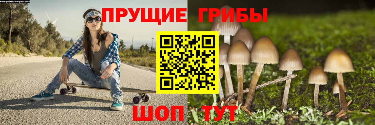 Полевской  Галлюциногенные грибы прущие грибы  Вход с VPN  Галлюциногенные грибы Psilocybine cubensis 