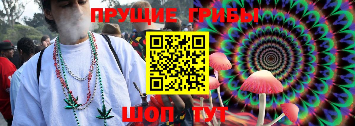 Галлюциногенные грибы Psilocybine cubensis Полевской